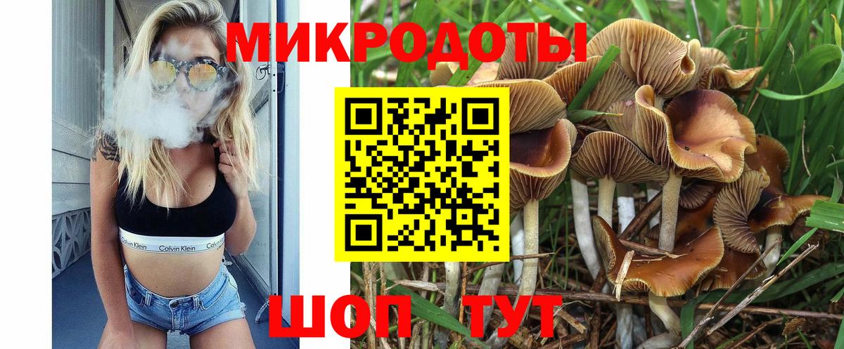 Качканар  Галлюциногенные грибы мухоморы  наркошоп  Вход с VPN 